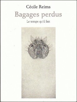 bagagesperdus-creims